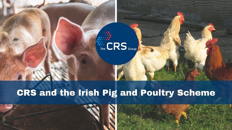 Pigs and chickens. The CRS Group logo central. Text reads 