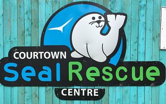 Courtown Seal Rescue Centre