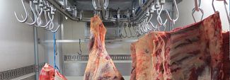 Meat Cold Storage & Handling Guide