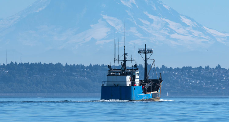 Trawler Fishing