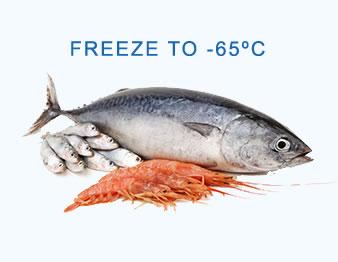 Ultra Low Temperature Freezer